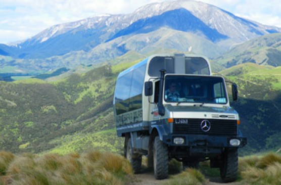 Christchurch Alpine Safari